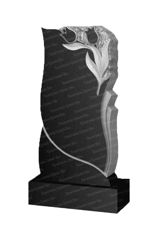 Памятник Малорита фото